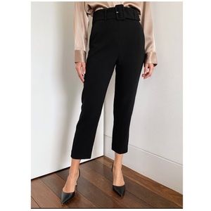 Aritzia Babaton Mayne pants